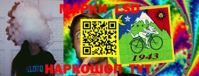 индика Заводоуковск