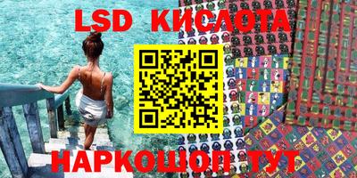 индика Заводоуковск