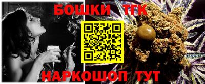 индика Заводоуковск