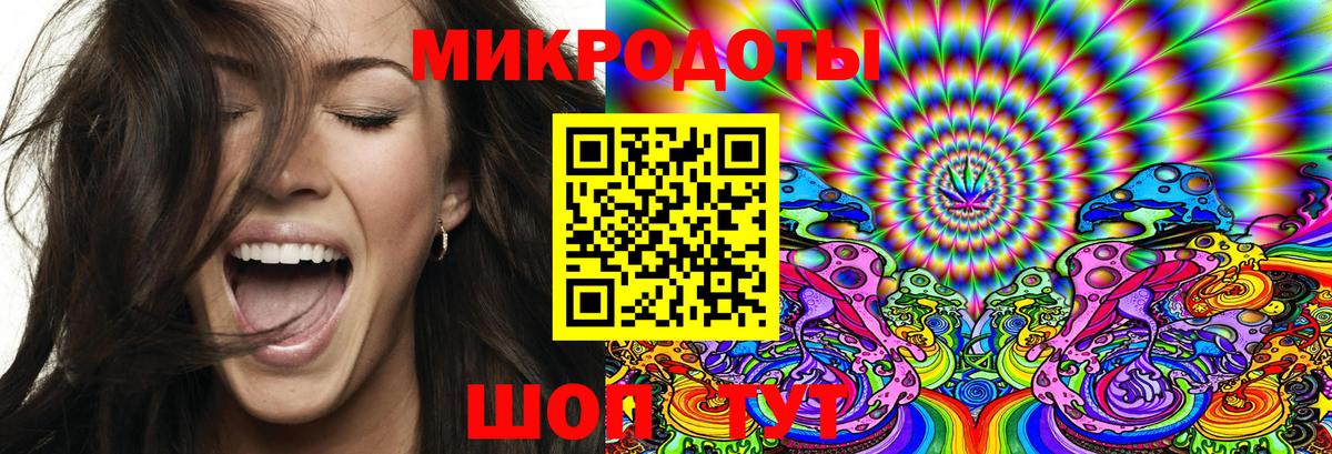 Псилоцибиновые грибы Psilocybine cubensis Луга
